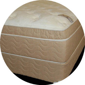 extra thick pillow top mattress in Detroit