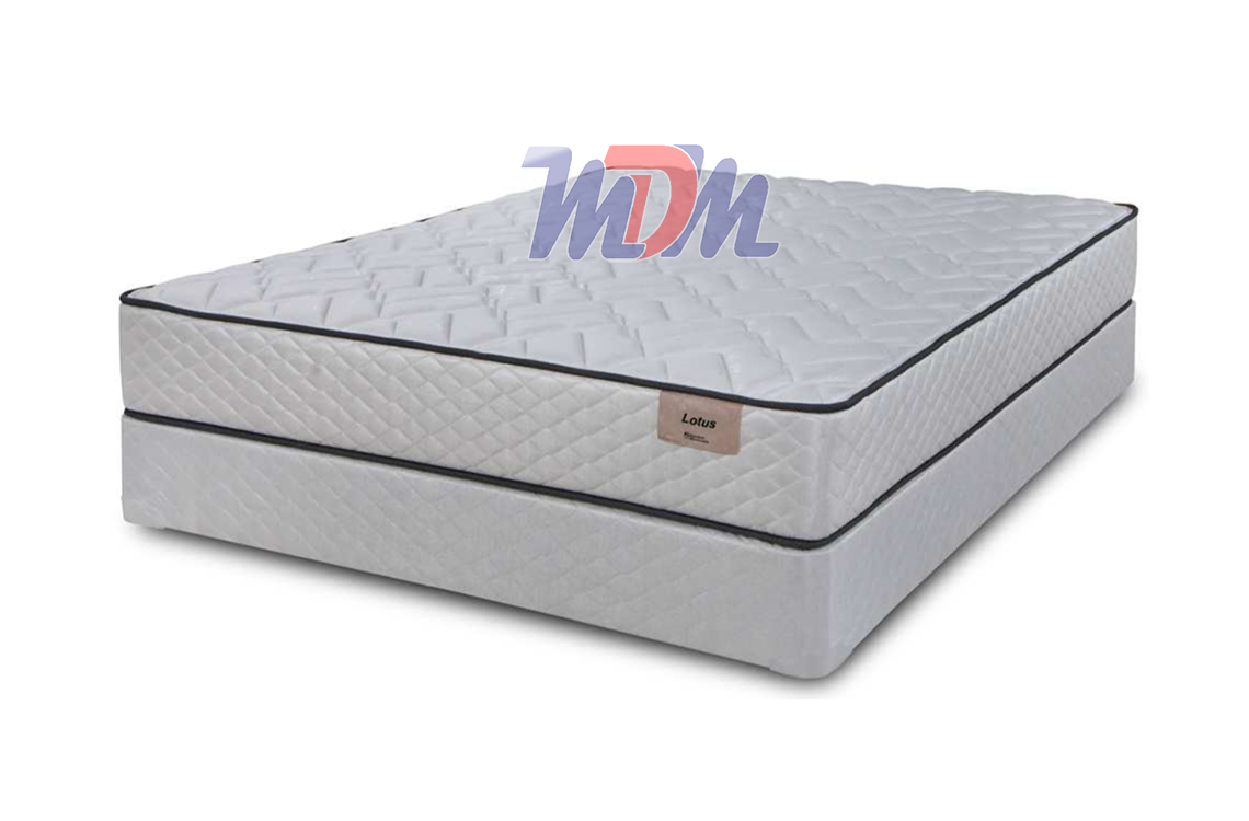 Best Mattress Prices Online Free Shipping Online One Of The Few Makers Still Making A Two Sided Mattress Symbol Offers Great Value In Its Double Lotus Firm W Gel