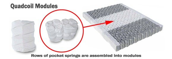 Texas Pocket Springs Quad Coil Modules