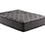 plush luxury best value bed in a box pocket coil graphite infused cool sleep medium 